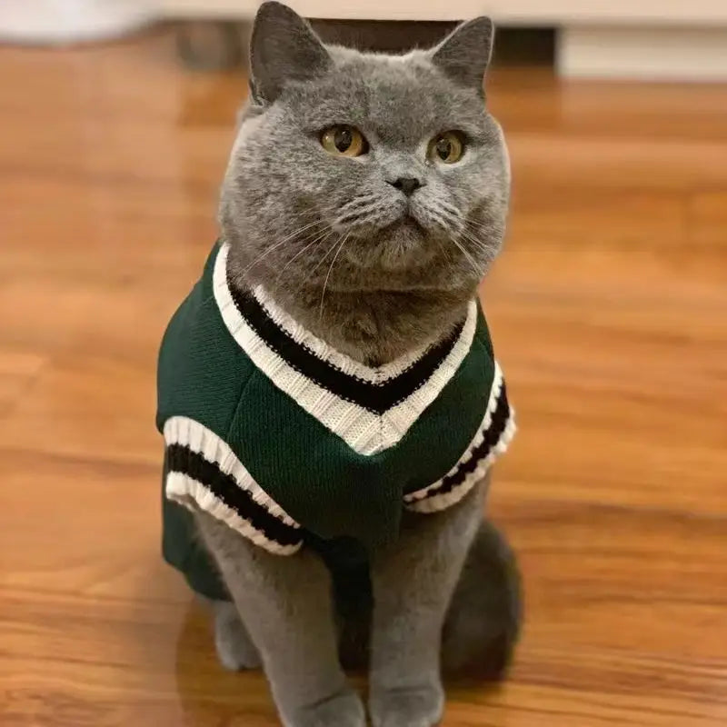 Paws & Claus Sweater