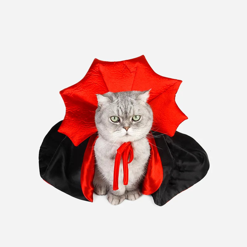 Vampire Cat Costume