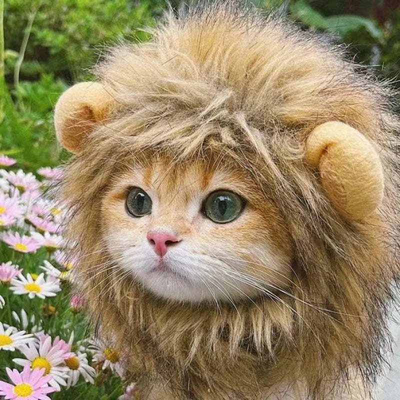 Lion Mane Headgear