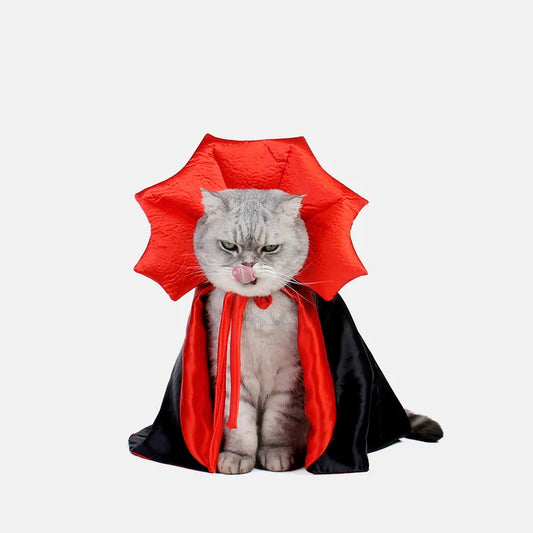 Vampire Cat Costume