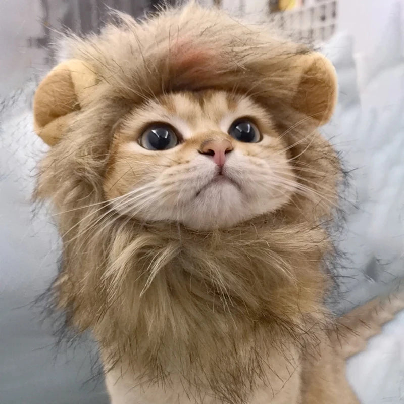 Lion Mane Headgear