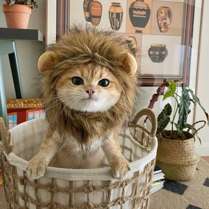Lion Mane Headgear