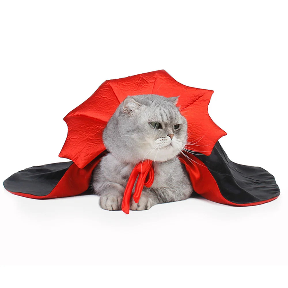 Vampire Cat Costume